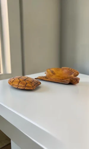 Artisan Wood Decor Handcrafted Suar Wood Turtle Decorative Bowl with Lid